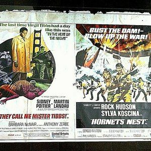 Original Movie Poster Double Feature They Call Me Mister Tibbs & Hornets' Nest